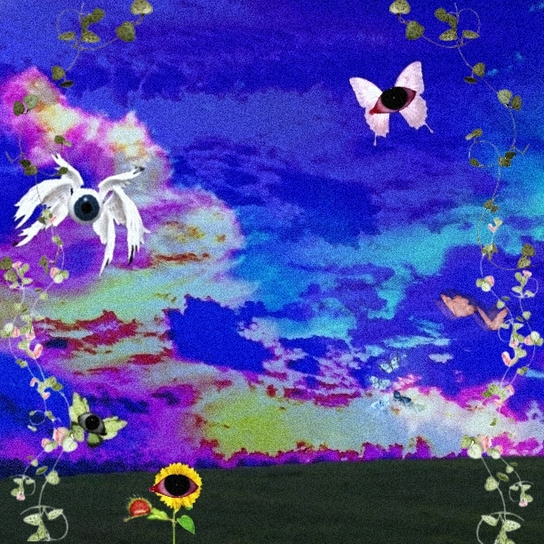 dreams